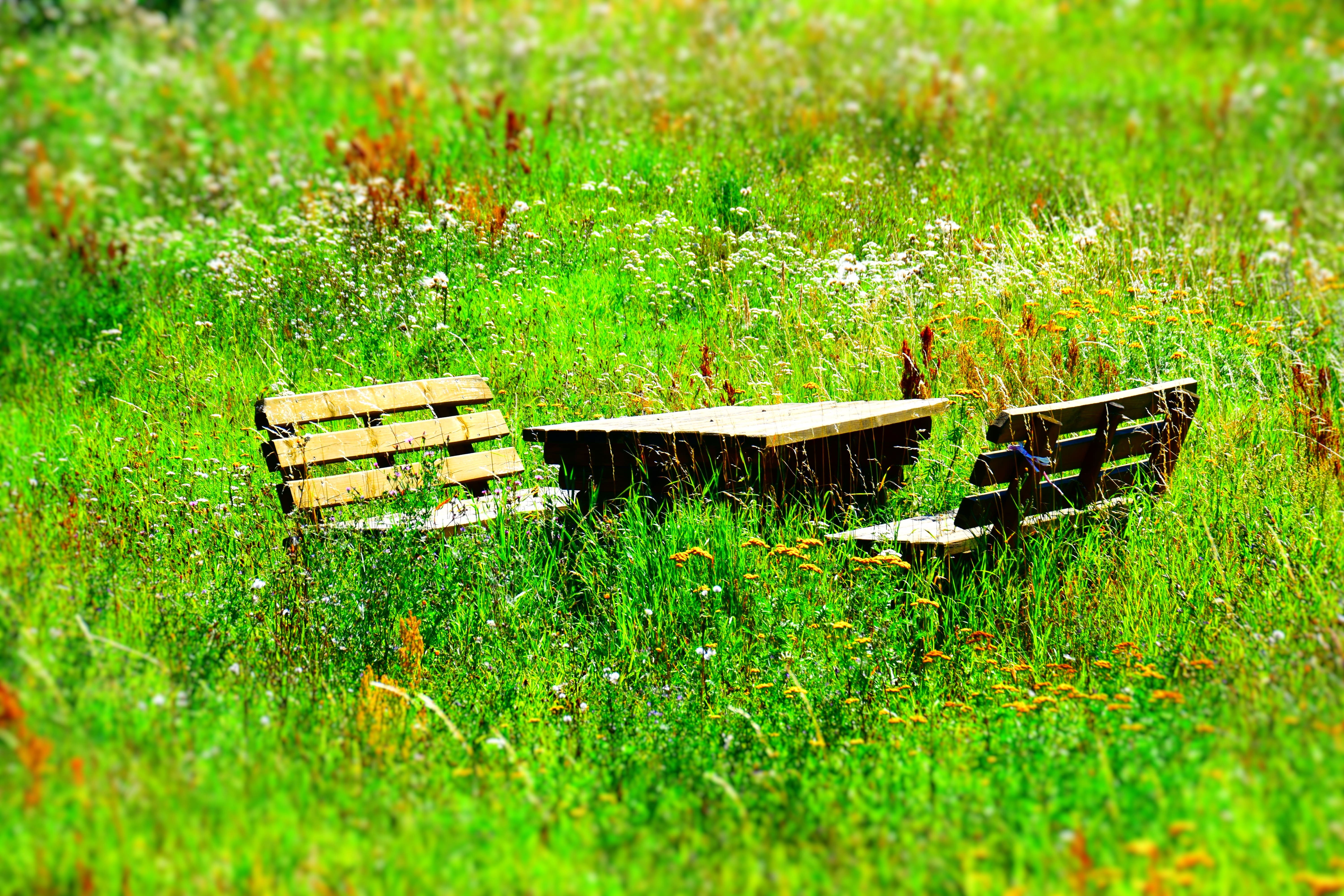 Coaching in der Natur
